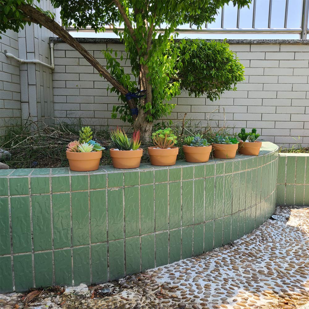 Yishang 5 Inch Shallow Terracotta Clay pots with Drain Hole,Ceramic Plant pots for Indoor/Outdoor Plants,Unglazed Bonsai Planter for Cacuts/Succulent Plants