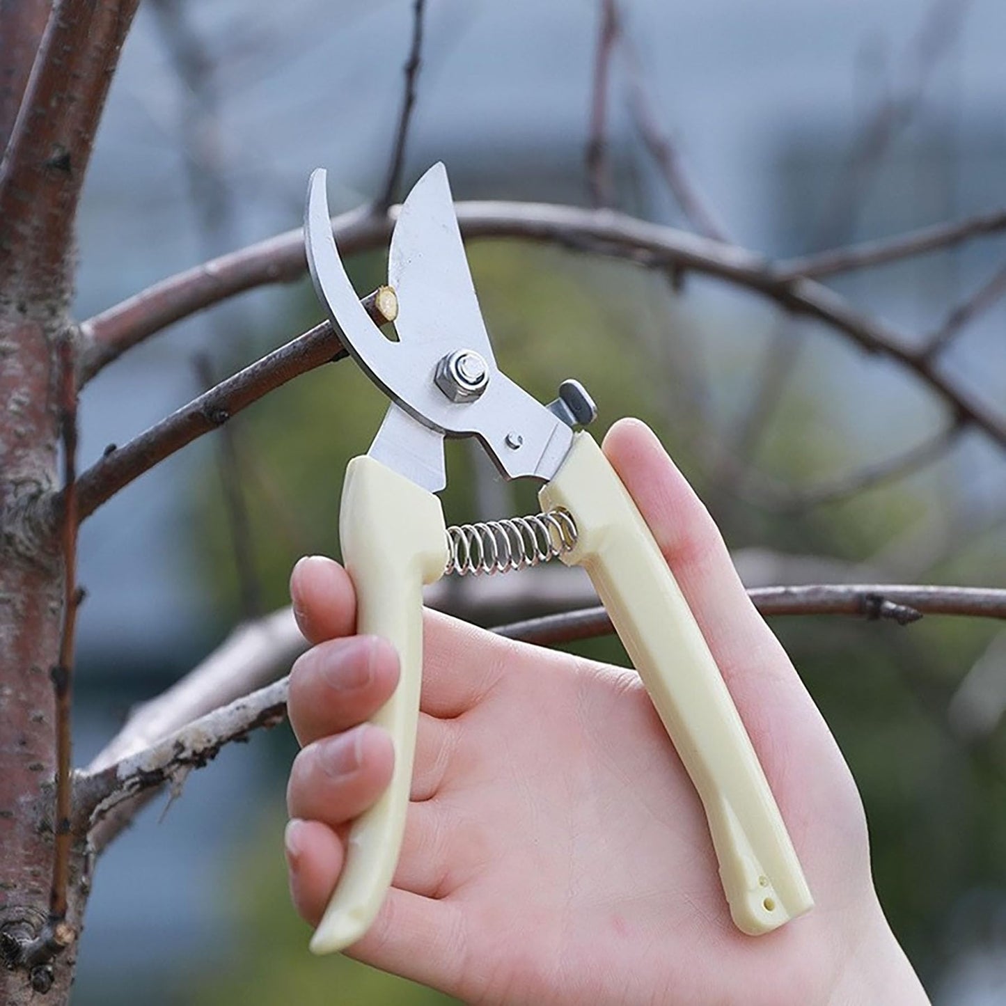 2PCS Garden Flower Shears Pruning Shears 6.9 inches Scissors Heavy Duty Plant Scissors for Cutting Flowers, Trimming Plants, Bonsai, Fruits Picking (White Handle 2pcs)