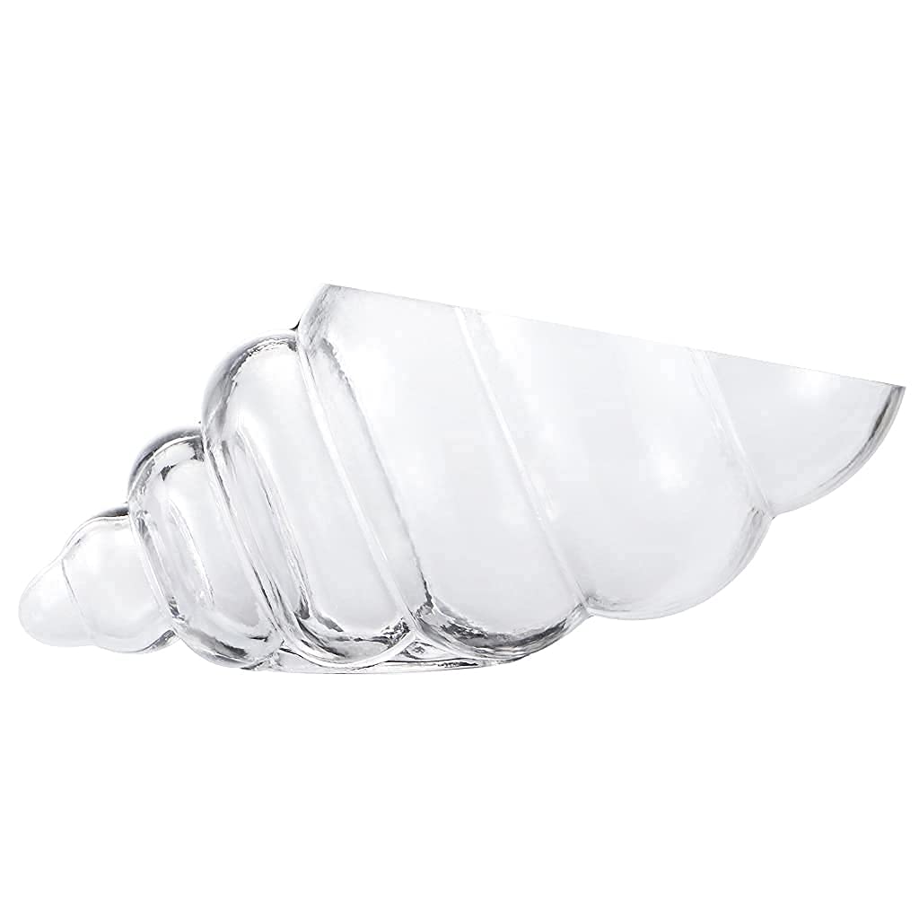 MDLUU Glass Shell Vase, 11-Inch Seashell Potpourri Holder, Large Decorative Conch Bowl for Shell Collection Display, Sea Glass, Air Plant