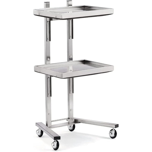 ZGFUSVFD 2-Tier Metal Rolling Cart, Stainless Steel Salon Storage Stand with Wheels Trolley Tray Storage Cart Kitchen Storage Trolley Utility for Bedroom Tattoo Shop, Silver