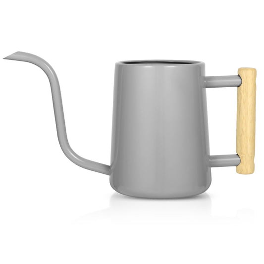 Watering Can Indoor Plants, 35 oz/1000 ml Metal Stainless Steel Watering Can Pot with Long Spout for Indoor House Plants Bonsai Outdoor Garden Flower Decorative (Gray)