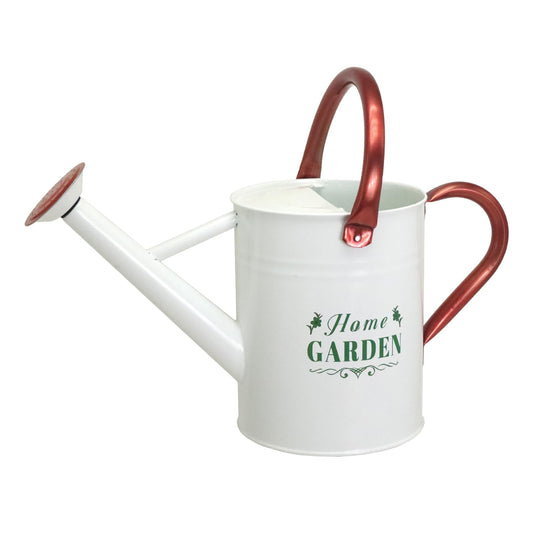 Lechloris Metal Watering Can for Outdoor Plants, Galvanized Steel Watering Can with Removable spout, 1 Gallon,Perfect Home & Garden Décor White