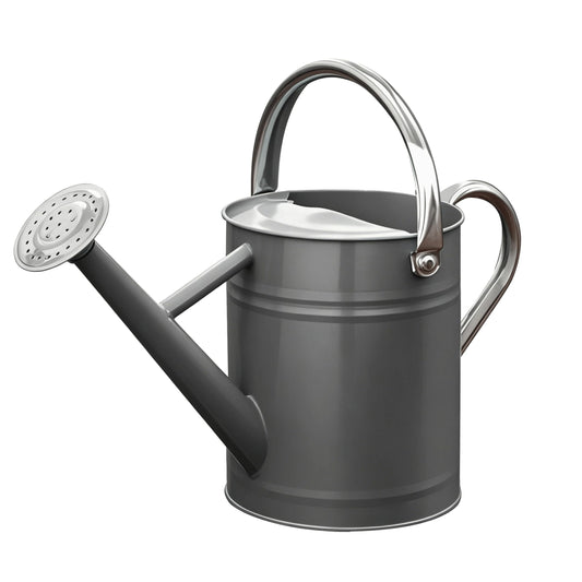 SunnyTong Metal Watering Can for Outdoor and Indoor Plants, Watering Can Decor, 1 Gallon (Gray)