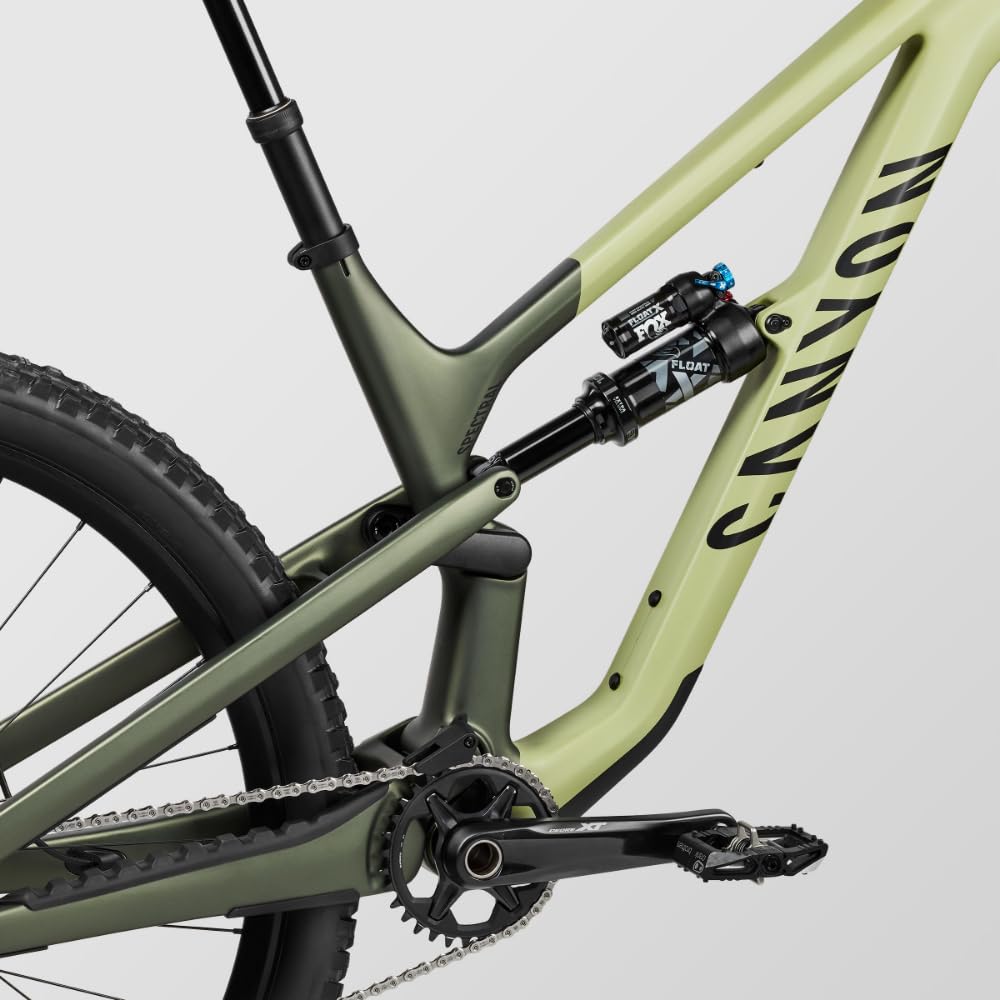 Canyon Spectral 29 CF 8, Big Bamboo, Extra Large