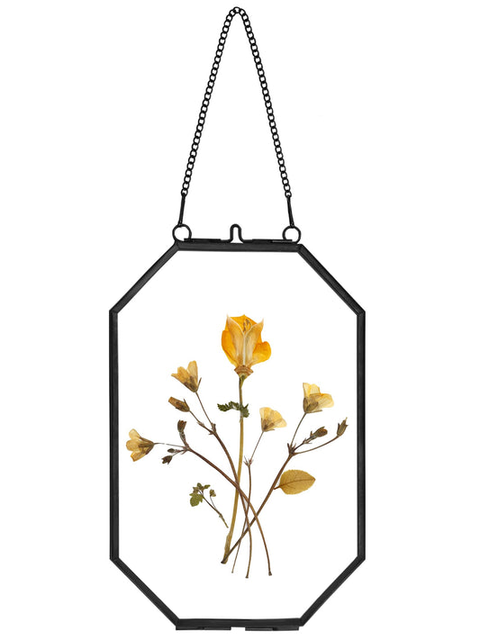 REDHUGO Pressed Flower Frames, Glass Floating Frames for Display Dried Plant Specimen Picture, Hanging Brass Photo Frame with Chain, Double Clear Glass, Vintage Wall Decor, Octagon, Black, 4x6 Inches