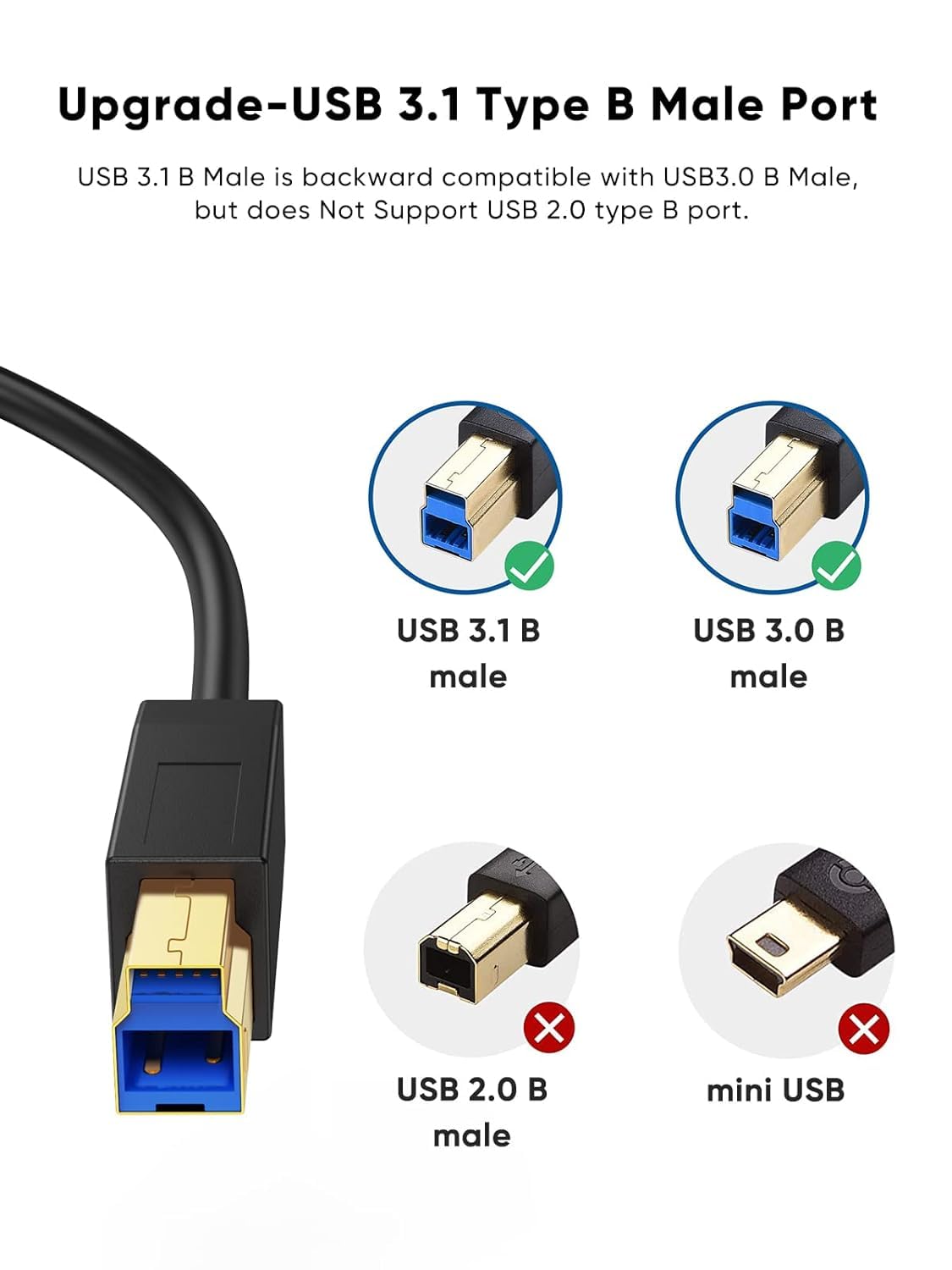 3.1 10FT, 5Gbps 3 Black,3M CableCreation USB C to USB B Cable USB Type B to USB C Cable for Thunderbolt Host MacBook