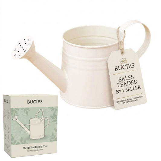White Watering Can Metal, 1 Gallon Vintage Sprinkling Can with Removable Spout, Galvanized Water cans, Plant Watering Can for Outdoor Indoor Plants, Lawn & Garden Irrigation Tool (1 L)