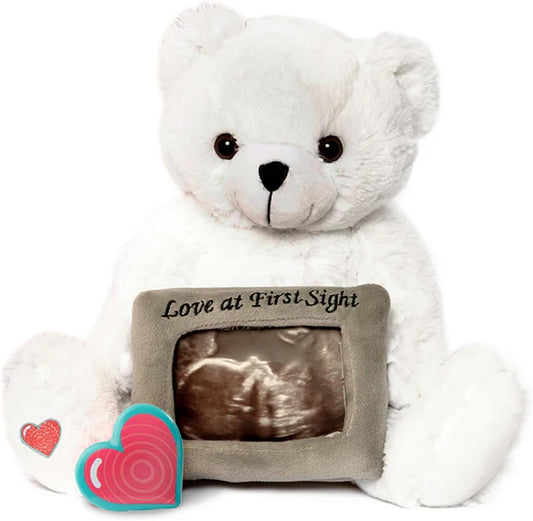 My Baby's Heartbeat Bear 20 3x5 My Babys Heartbeat Bear, Second Re-Recordable Voice Recorder Plush Keepsake, Ultrasound