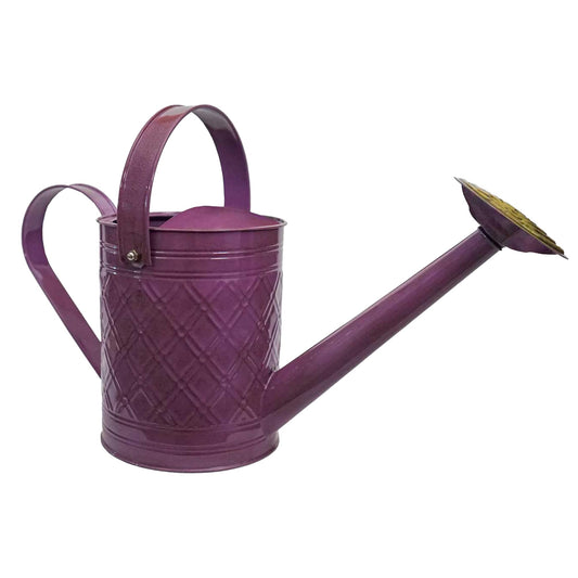 Headwind Cortland Purple Plum 1 Gallon – Galvanized Watering Can with Brass Rose Spout – Vintage Metal Watering Can for Indoor & Outdoor Use by Robert Allen