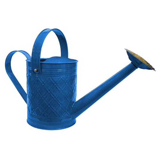 Headwind Cortland Oceanside Blue 1 Gallon – Galvanized Watering Can with Brass Rose Spout – Vintage Metal Watering Can for Indoor & Outdoor Use by Robert Allen