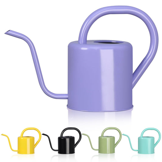 Watering Can, Stainless Steel Watering Can for Indoor & Outdoor Plants, 1L/35oz Long Spout Water Can with Handle, Rust-Proof Plant Watering Pot for House Plants, Garden Flowers