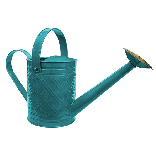 Headwind Cortland Surf Blue 1 Gallon – Galvanized Watering Can with Brass Rose Spout – Vintage Metal Watering Can for Indoor & Outdoor Use by Robert Allen