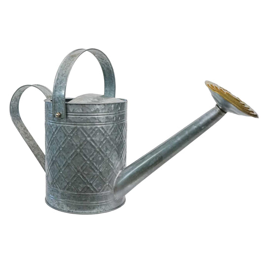 Headwind Cortland Galvanized Silver 1 Gallon – Galvanized Watering Can with Brass Rose Spout – Vintage Metal Watering Can for Indoor & Outdoor Use by Robert Allen