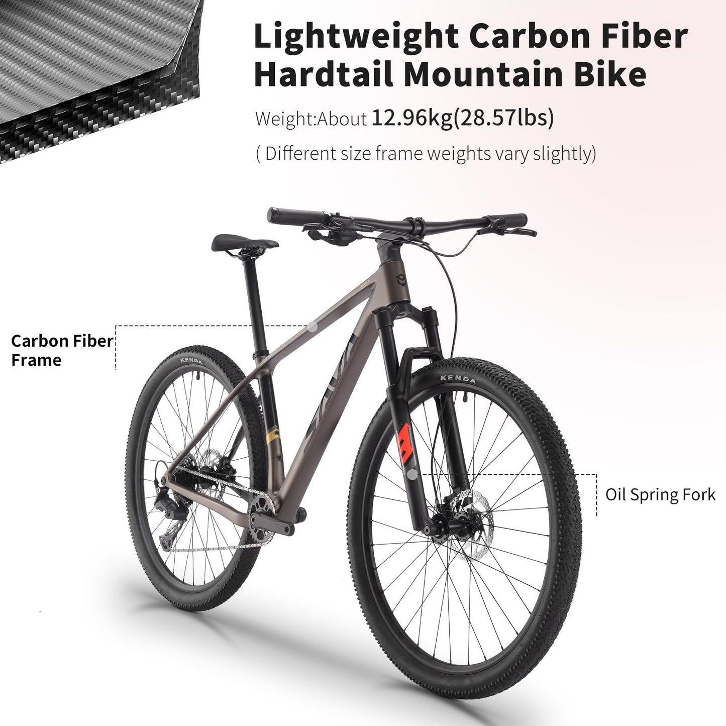 SAVADECK Carbon Fiber MTB with U6000 10 Speed Shift Groupset, Hydraulic Disc Brake with MT200 Break System (Shimmering White, 29 * 15.5)