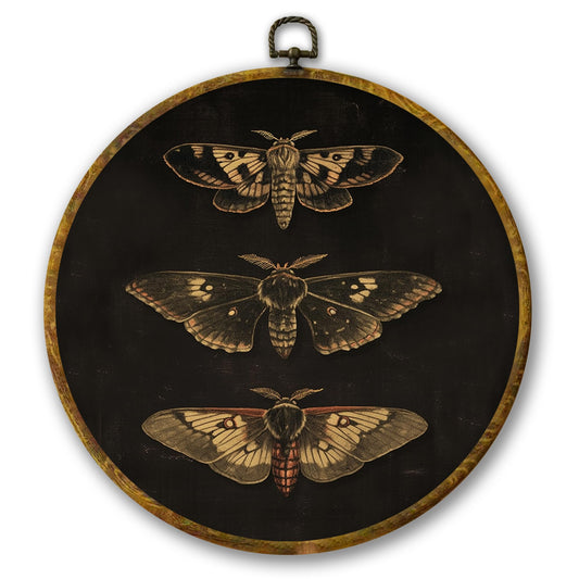 Mcehtle Vintage Butterfly Wall Art Decor, Dark Moody Cottagecore Moth Butterfly Framed Canvas Prints 10x10, Neutral Farmhouse Round Wall Hanging Artwork Decorations for Bedroom Living Room