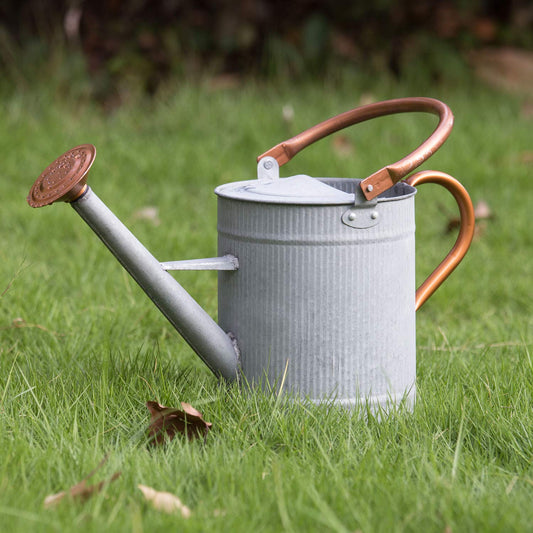 HORTICAN 1 Gallon Watering Can, Metal Watering Can with Removable Spout, Farmhouse Galvanzied Water Can, Nice Plant Water Can for Indoor Use and for Outdoor Use