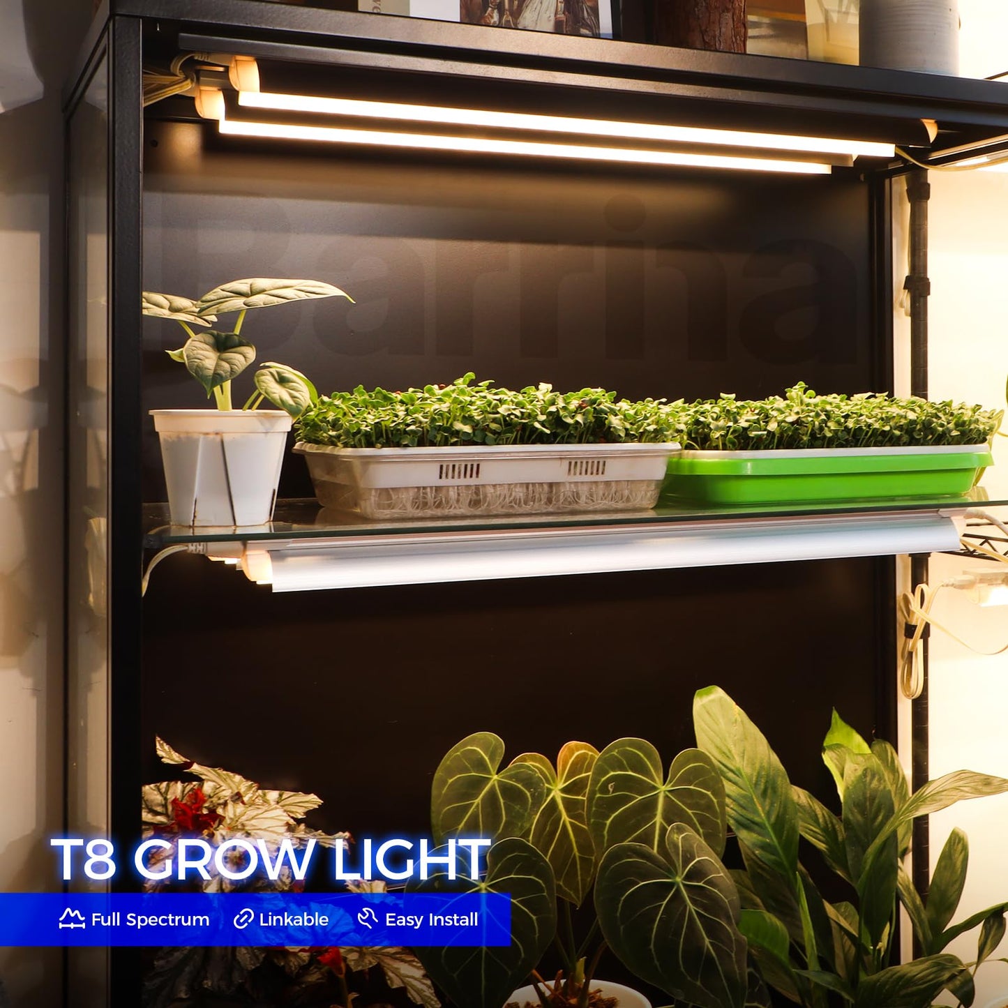 Barrina T8 Plant Light, 144W(6 x 24W), 800W Equivalent, 2FT Super Bright, Full Spectrum, led Grow Light, Integrated Growing Lamp Fixture, for Indoor Plants, 6-Pack
