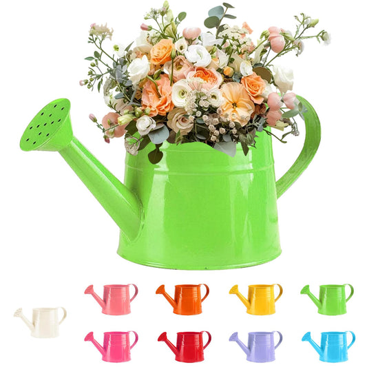 White Watering Can Metal, 1 Gallon Matte Galvanized Metal Watering Can, Vintage Sprinkling Tin Watering Can for Indoor Outdoor Plants, Flowers Garden Indoor Outdoor (Green)