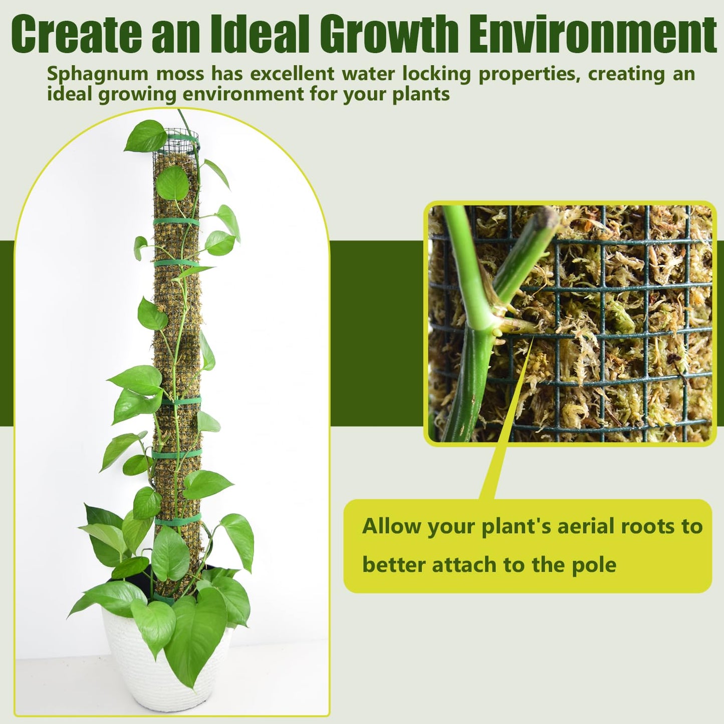 Metal Moss Pole, 60"/40"/24" Moss Poles for Plants Monstera, Stackable Sphagnum Moss Pole, Plant Poles for Climbing Plants Work with Sphagnum Moss(1 Each of 60" 40" 24")