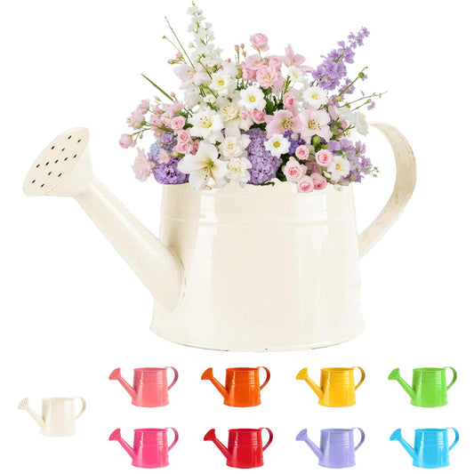 White Watering Can Metal, 1 Gallon Matte Galvanized Metal Watering Can, Vintage Sprinkling Tin Watering Can for Indoor Outdoor Plants, Flowers Garden Indoor Outdoor (White)