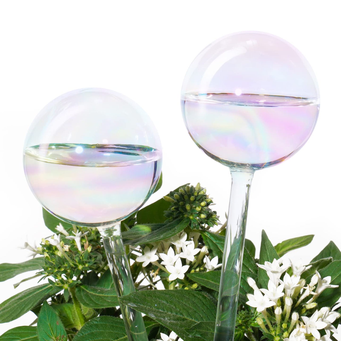 Tomorotec [2 PCS] Light Iridescent Rainbow Gradient Color Clear Glass Self-Watering System Spikes, Automatic Plant Waterer Bulbs