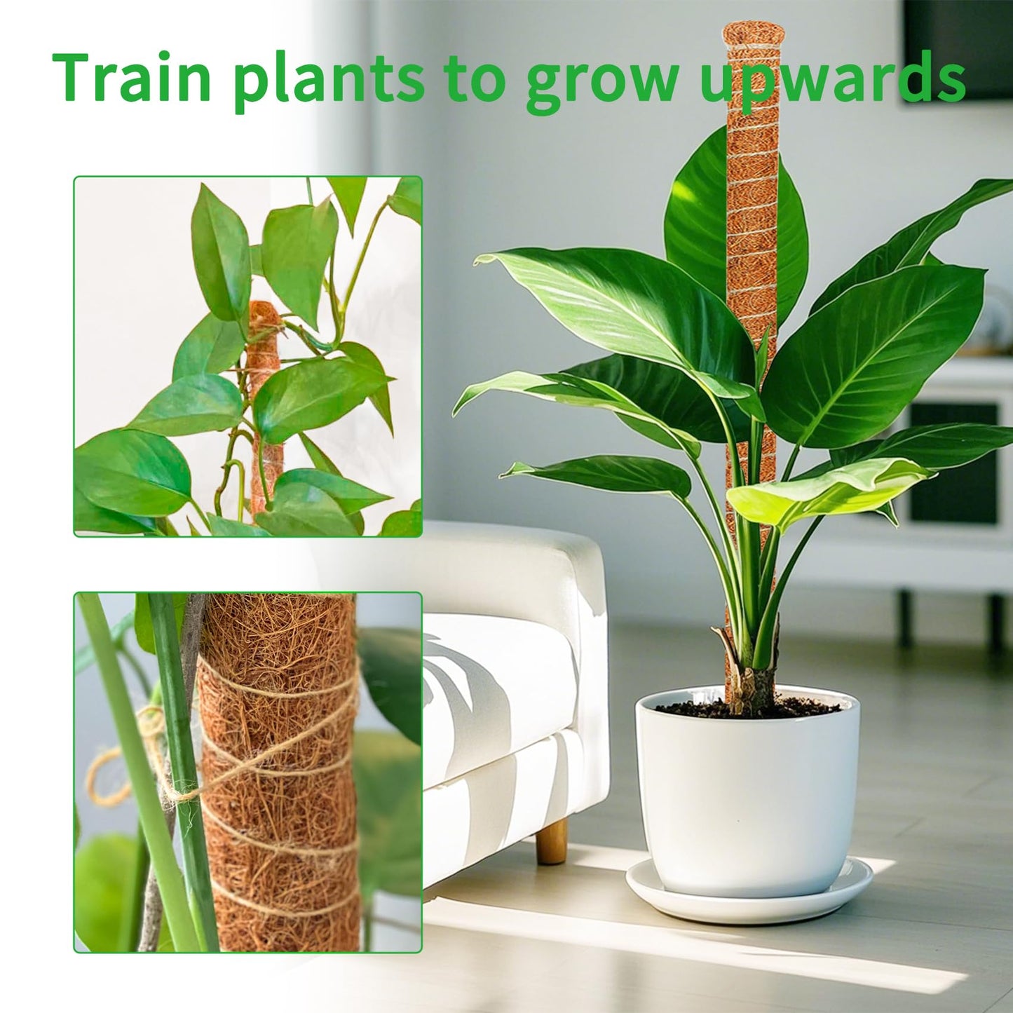 Dimpoo 2 Pack 39 Inch Moss Pole Monstera Plant Support, Coir Moss Poles for Climbing Indoor Plants, Bendable Plant Stake Trellis for Potted Plant, Pothos, Philodendron