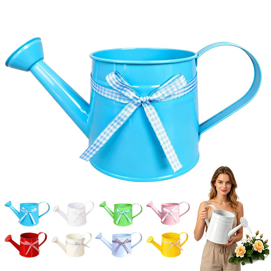White Metal Watering Can,1 Gallon Watering Can Metal,Vintage Sprinkling Tin Watering Can for Indoor Outdoor Plants, Galvanized Steel Watering Cans for Flower (Blue)