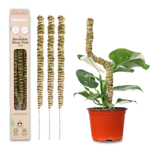 Mossify Bendable Moss Pole for Monstera 3 Pack (16" / 30" / 42") – Flexible Moss Pole Stakes for Indoor Plants – Premium Forest Moss with 3-Prong Stake System – Indoor & Outdoor Plant Trellis Set