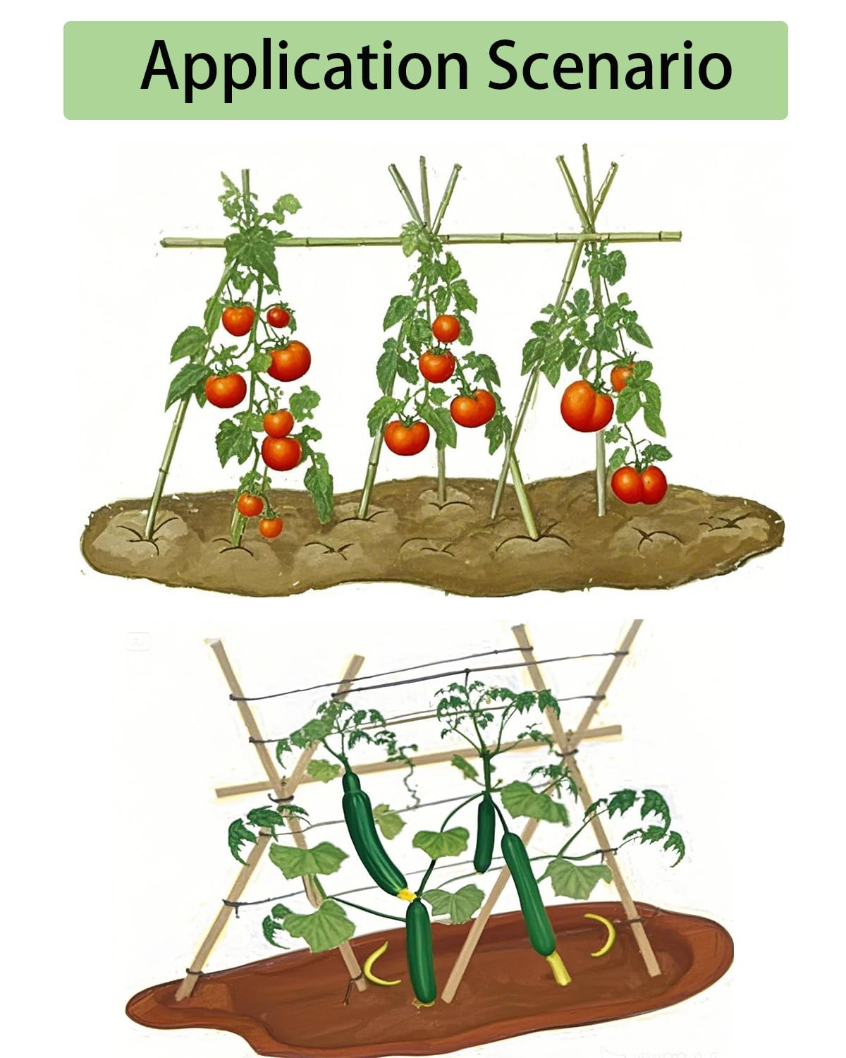 5 Ft Bamboo Stakes with 100 Twist Ties Natural Bamboo Garden Stakes for Tomatoes Cucumber Grapes Pole Beans Trees Potted Dahlia Flowers and Climbing Plants - Pack of 20 (58in, Approx 5FT)