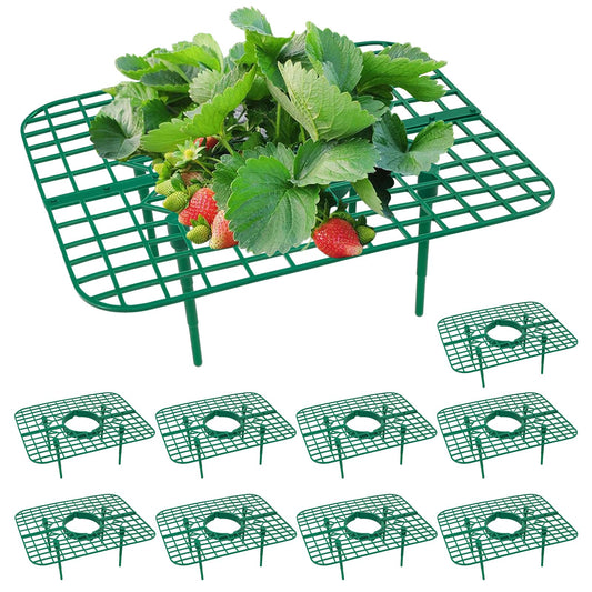 GOONMILL 10 Pack Strawberry Plant Support, Strawberry Planting Stand, Keeping Strawberry Plants Clean, Strawberry Growing Racks, Strawberry Growing Frame