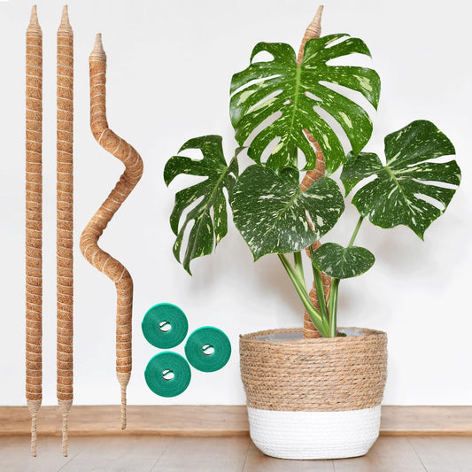 Vanut 3-Pack 28in Moss Pole for Plants Indoor, Bendable & Sturdy Fishbone Cactus Plant Stake for Monstera, Pothos Vines, Philodendron & Indoor Tropical Houseplants, Made for Coco Coir