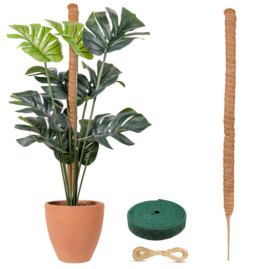 EcoNour Tall Moss Pole for Plants (1-Pack) 63-Inch | Large Monstera Plant Support for Climbing and Growth | Elevate Your Indoor Garden | Tall Plant Support for Indoor Potted Plants to Grow Upwards