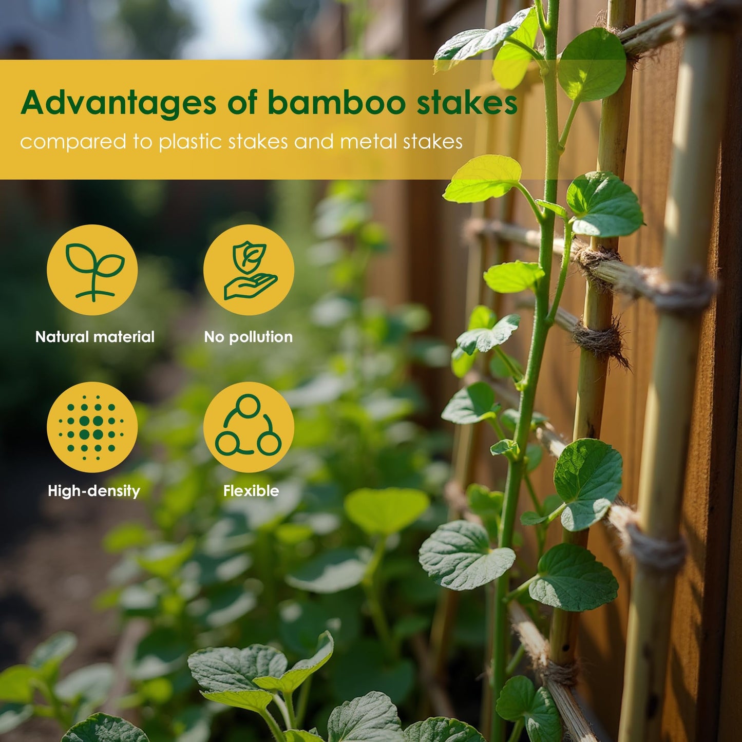 Cambaverd Bamboo Sticks for Plants 2 Feet Bamboo Stakes for Indoor Gardening Plant Stakes Supports Potted Plants Mini Trees Garden Stakes - Pack of 30 Bamboo Poles