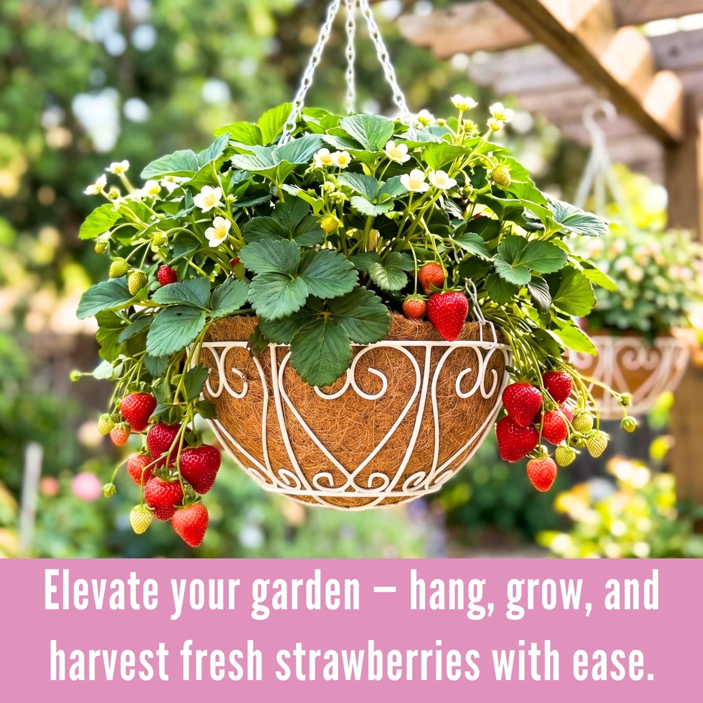 LaLaGreen Hanging Baskets for Plants (2 Pack, 12 Inch) Hanging Flower Pots with Coco Liner, White Metal Wire Round Basket Plant Holder with Hanger Hook Chain Outdoor Deck Patio Balcony Garden Decor